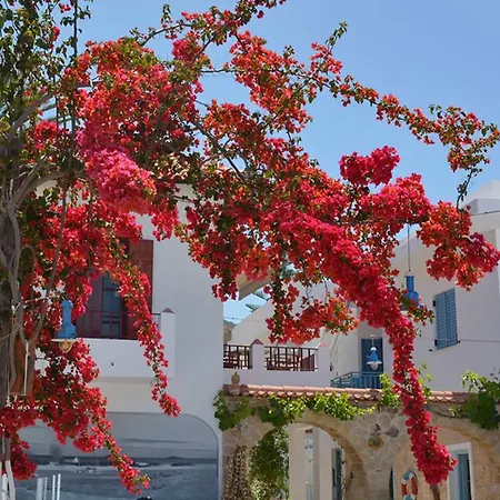 Ξενοδοχείο Saronis Agistri - Adults Only